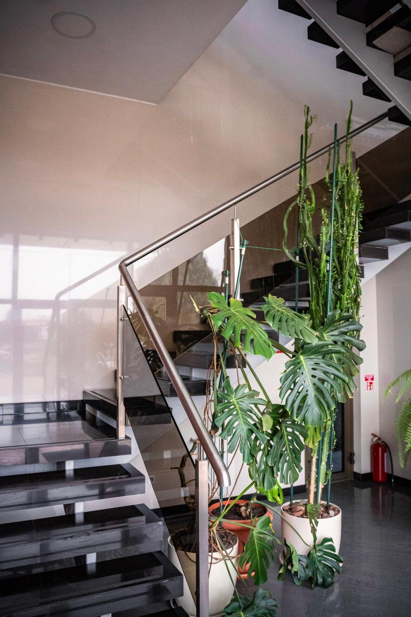Hotel Pas Katina Panevėžys Extérieur photo